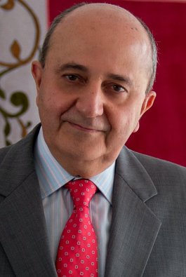 José Ricardo Stok